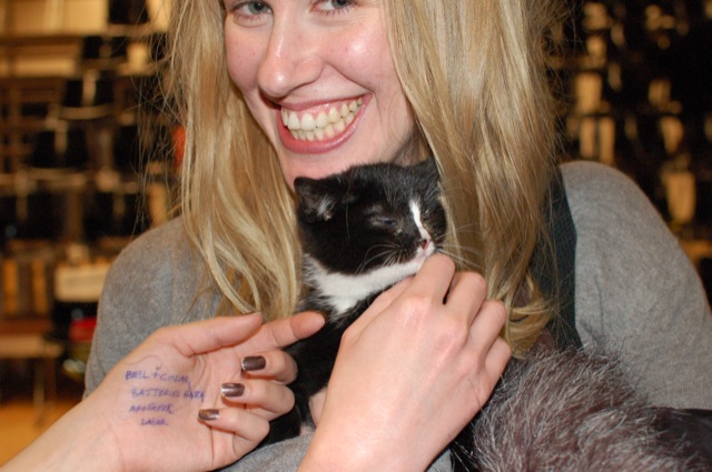 Jeremiah (cat)