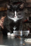 Korzo 2009.11