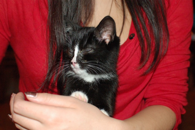 Korzo 2009.11