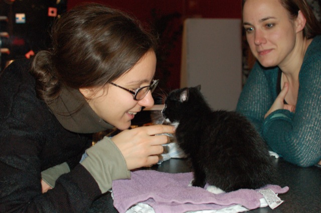 Jeremiah (cat)