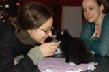 Jeremiah (cat)