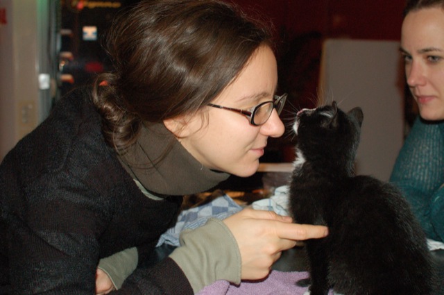 Jeremiah (cat)
