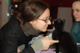 Jeremiah (cat)
