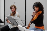 Violins