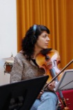 Violins