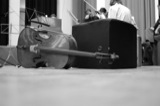 Cellos