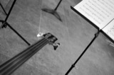 Bass Guitar