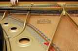 Percussion