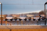 Stations