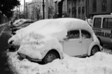 Beetle