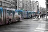 Tourism 2009