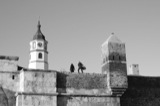Tourism 2009