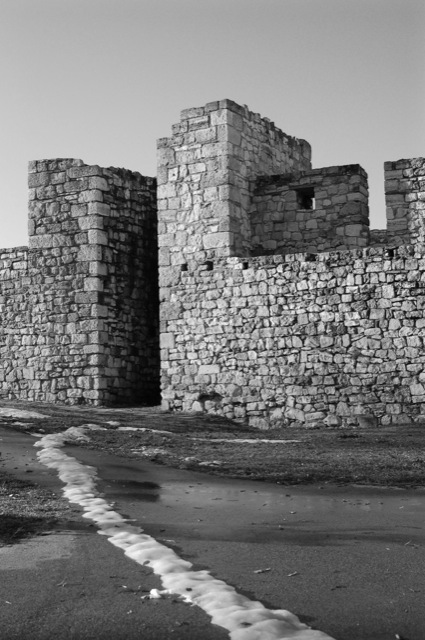 Andy Goldsworthy
