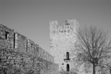 Tourism 2009