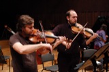 Violins