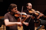 Violins