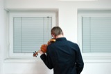 Violins