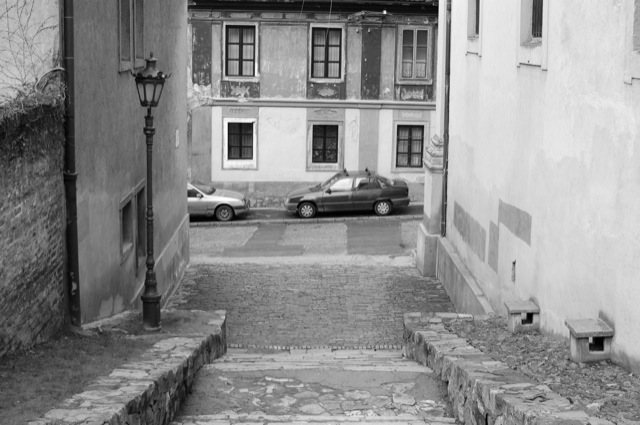 Tourism 2009