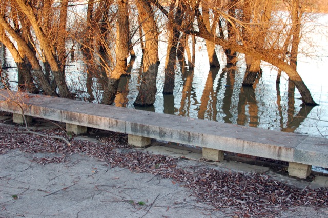 Novi Beograd