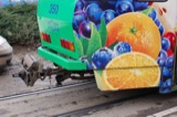 Advertising