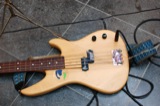 Bass Guitar
