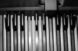 Hammond Organ