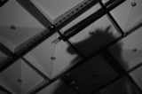 Shadows