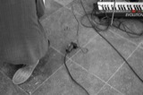 Nutshuis 2010.02