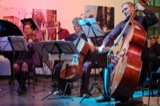 Double Bass