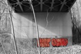 Bridges