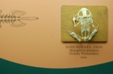 Natural History Museum