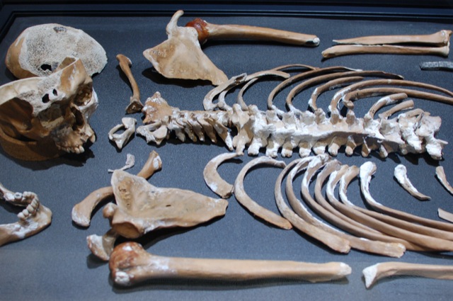Skeletons