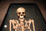 Skeletons