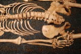 Skeletons