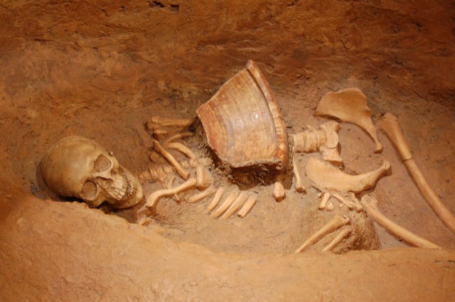 Skulls