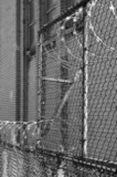 Fences