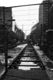 Den Haag