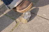 Kicking