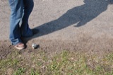 Kicking