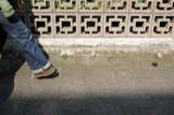 Kicking