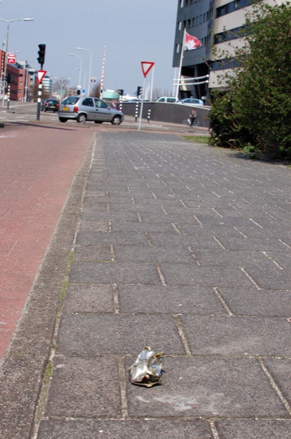 Den Haag