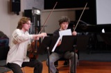 Violins