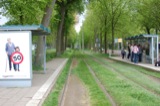 Tracks