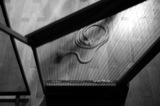 Percussion