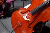 Cellos