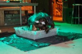 Mud