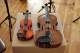Violins