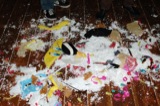 Loos 2010.06