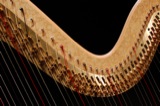 Harps