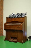 Organs